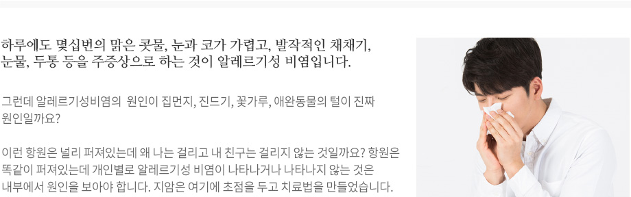 알레르기성 비염의 원인