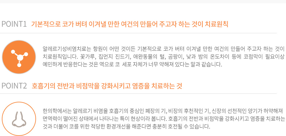 알레르기성 비염의 중점사항