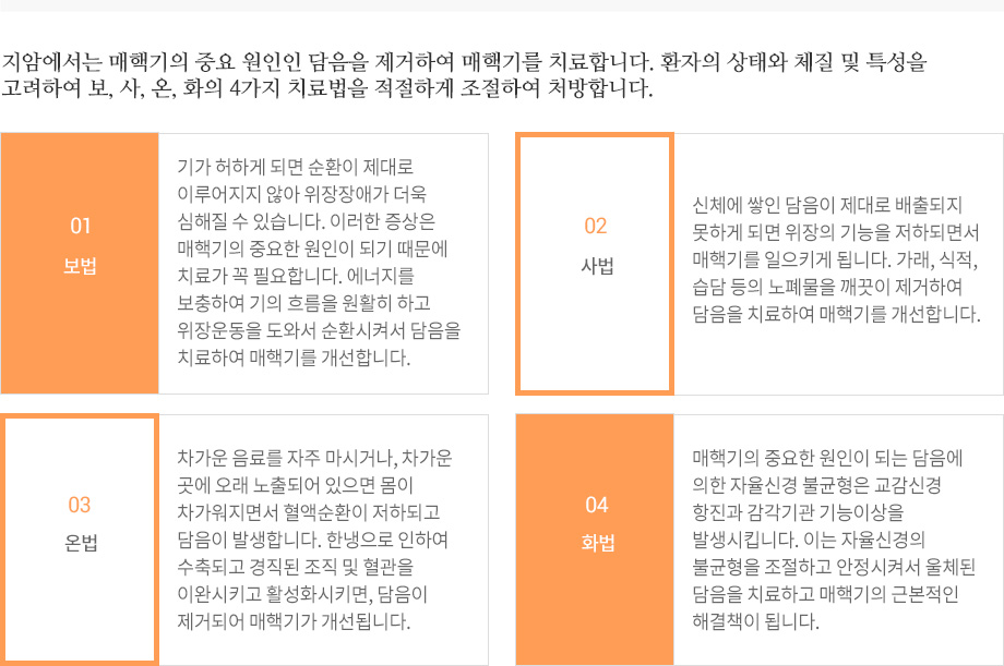 매핵기 치료원리